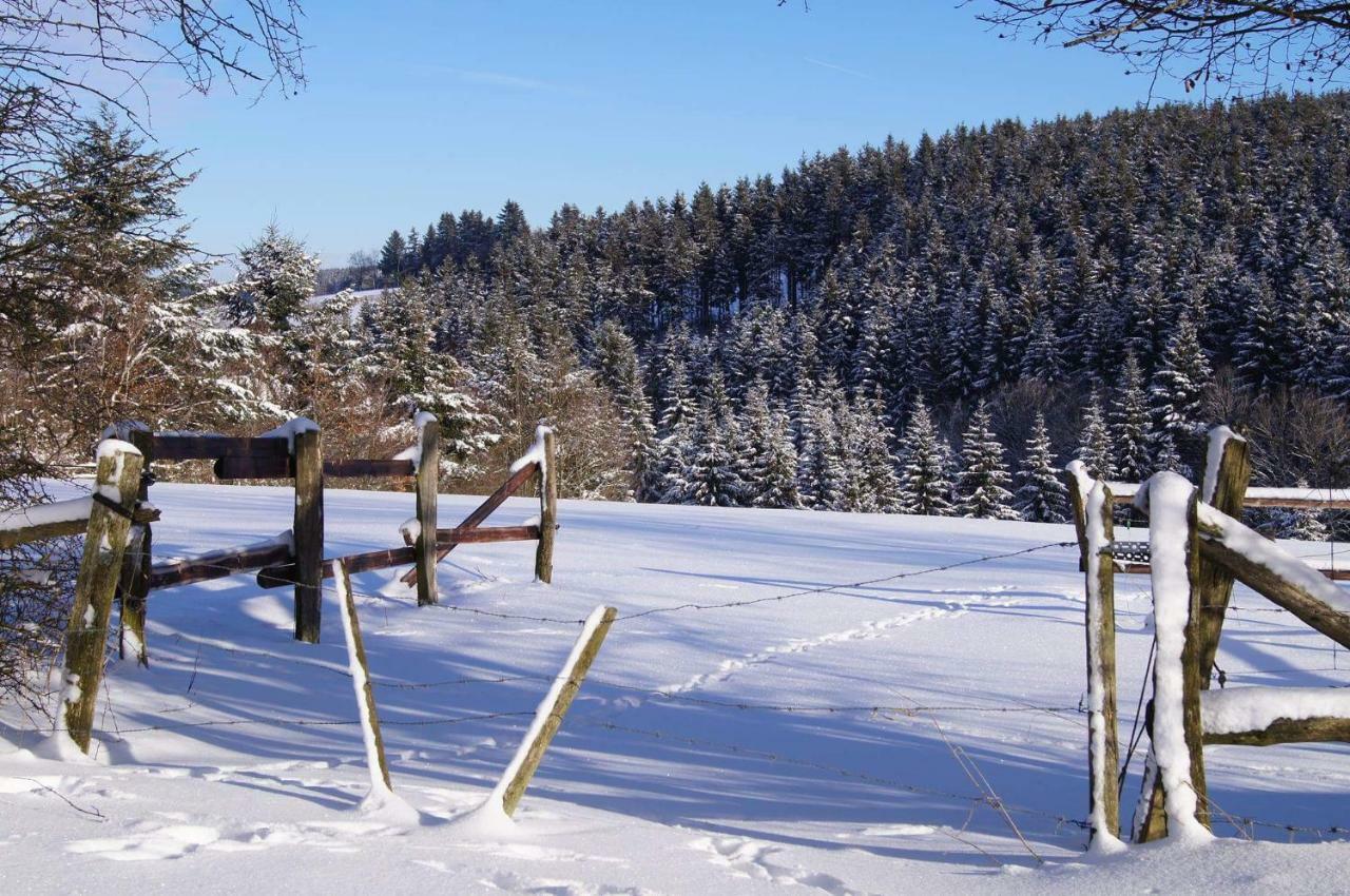 A l Orée du bois Büllingen Exterior foto